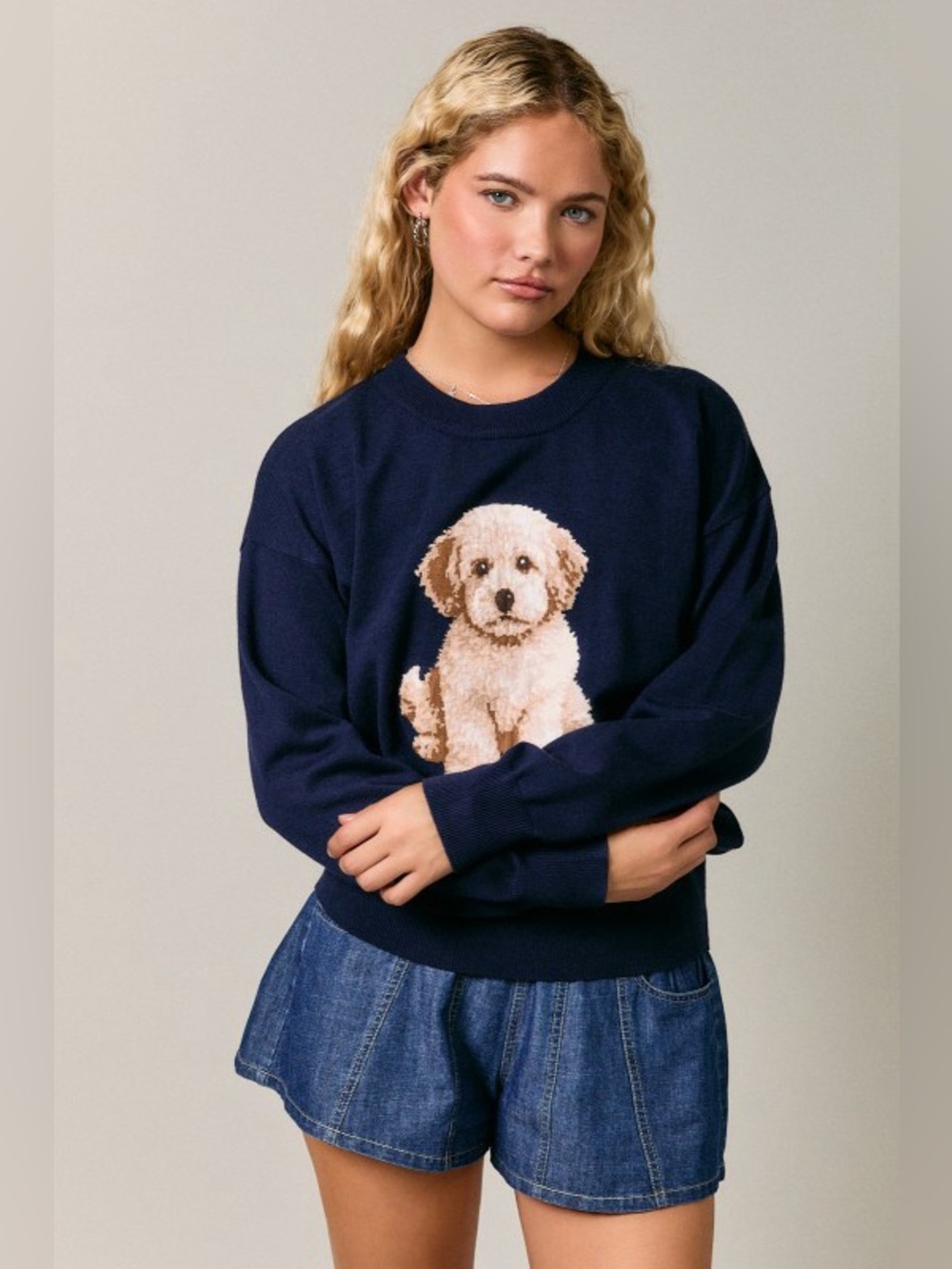 Navy Dog Graphic Pullover Sweater - Size Small